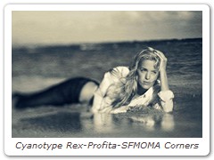 Cyanotype Rex-Profita-SFMOMA Corners